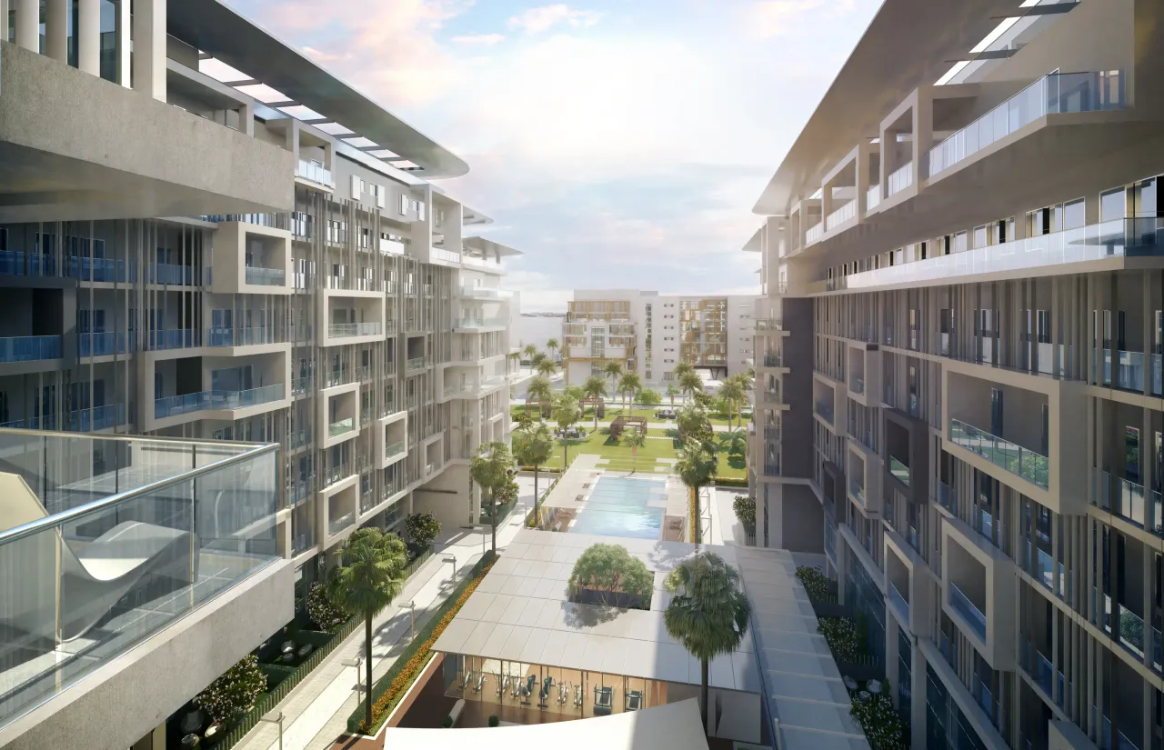 Oasis 1