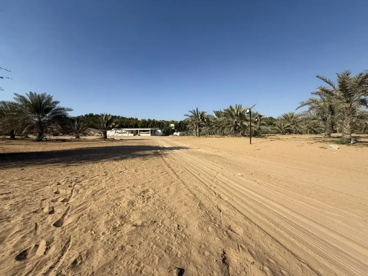 Al Zahya M