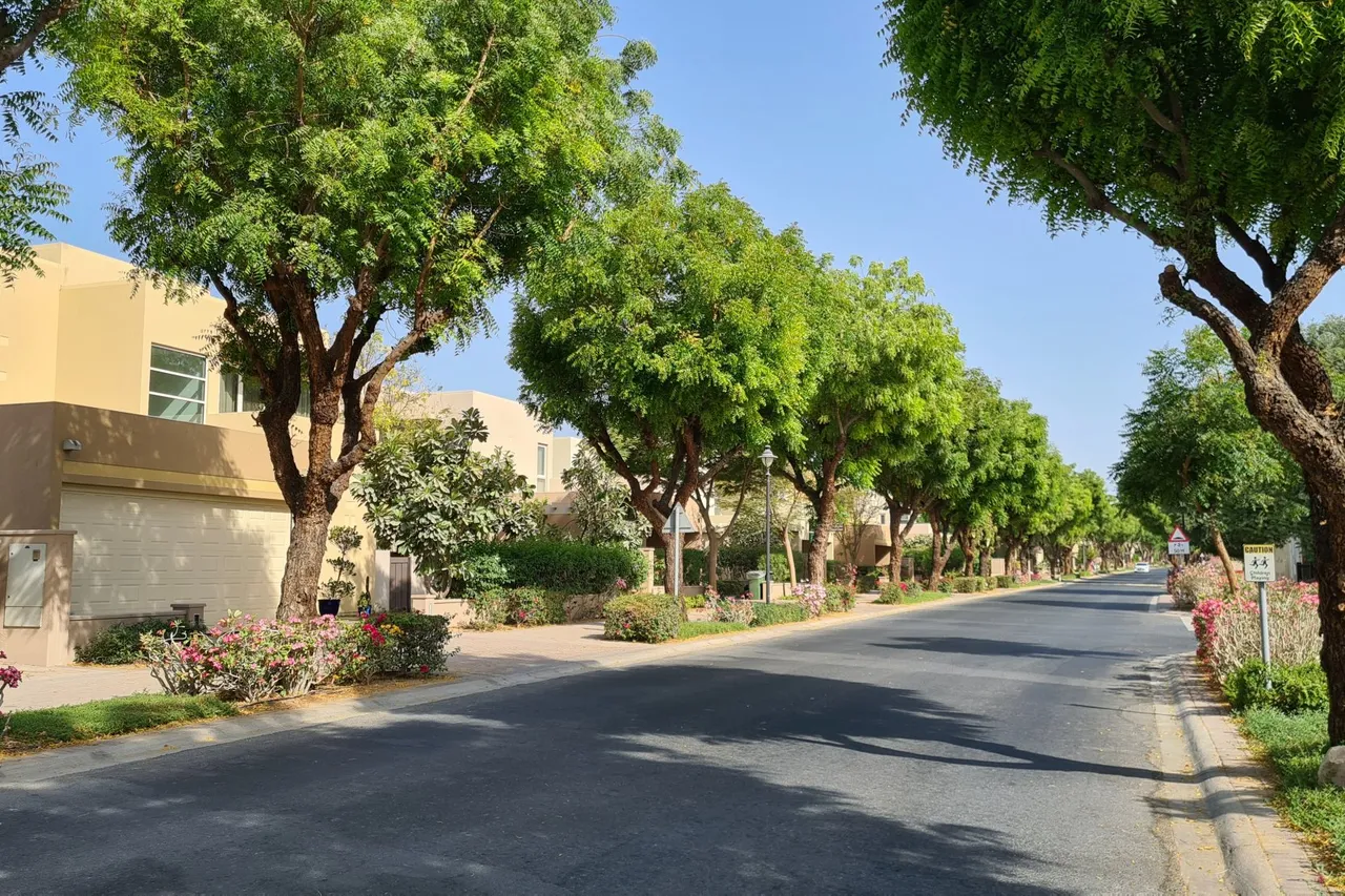 Saheel Arabian Ranches 1