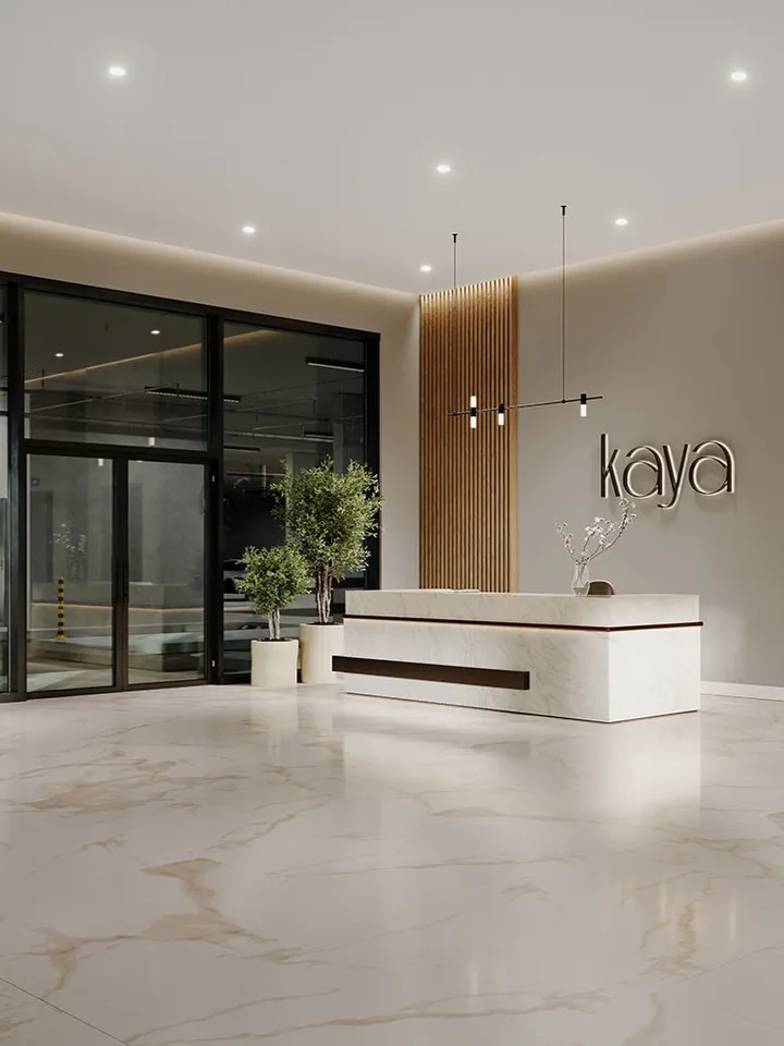 Kaya
